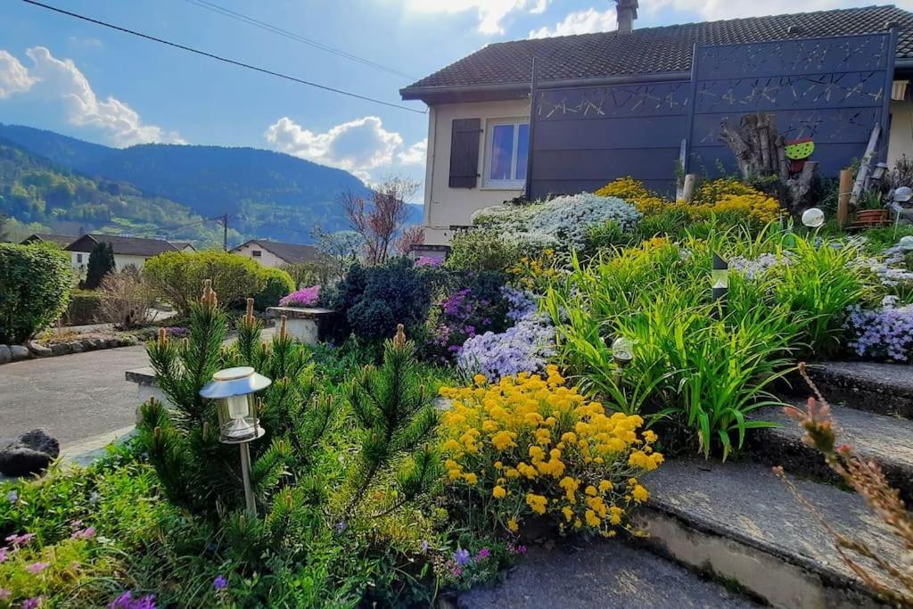 Plain-Pied Proche Base De Loisirs Et Voie Verte Saulxures-sur-Moselotte Buitenkant foto