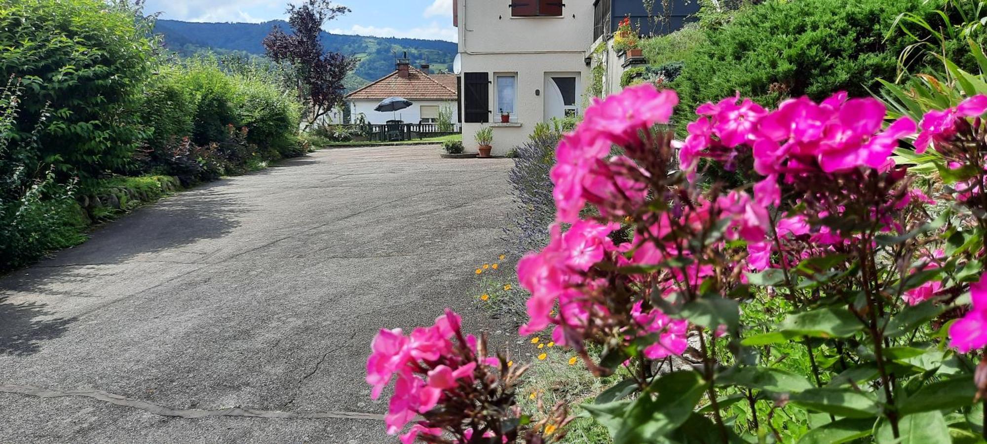 Plain-Pied Proche Base De Loisirs Et Voie Verte Saulxures-sur-Moselotte Buitenkant foto